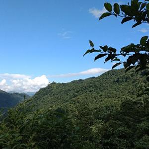 img-3